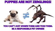 Puppies are not zerglings!